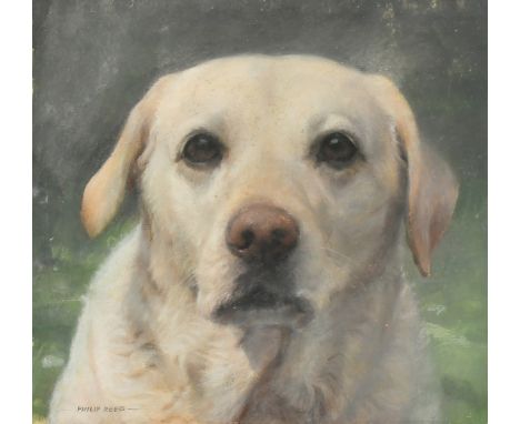 Philip Reed, 'Mans best friend', portrait of a Labrador, watercolour, signed, 11" x 12", (28x30.5cm),
