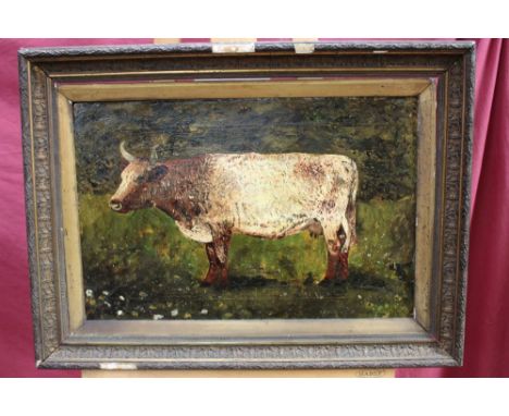 Late 19th century Naive oil on canvas - portrait of a cow, indistinctly signed and dated, in gilt frame, 34.5cm x 52.5cm