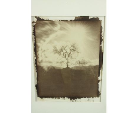 Mixed media print. Landscape. Signed indistinctly bottom right in pencil. H.63 x W.52 cm. 