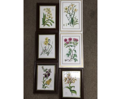 A large collection of Worcester Masons Coalport wall plates including Botanical design aircraft etc and six Worcester and Spo