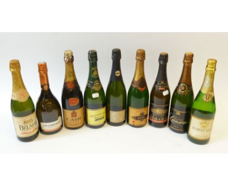 NINE BOTTLES OF SPARKLING WINE VARIOUS 