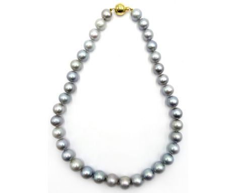Single strand graduating large silver/light blue pearls with 9ct gold clasp stamped 375