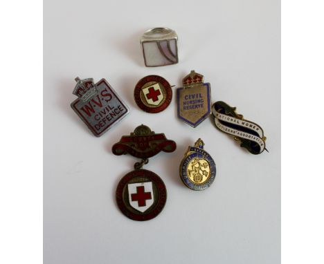 Various enamel badges including nursing