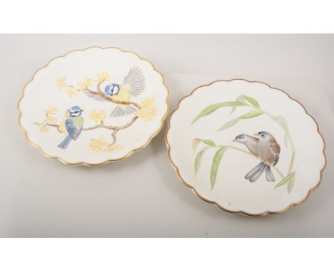 Collection of Royal Worcester cabinet dessert plates, The Birds of Dorothy Doughty, (8).