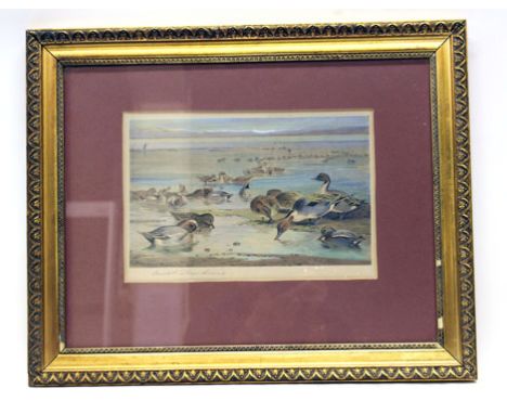 After Archibald Thorburn (1860-1935),'The Welcome Thaw',A study of ducks,signed in pencil to the mount,monochrome print,20 x 