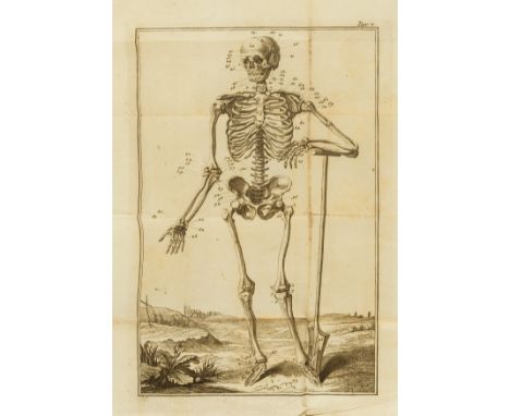 Anatomy.- Collection of 10 folding engraved anatomical plates, first 4 by Spadaccini after Marchini, each c.400 x 280mm., occ