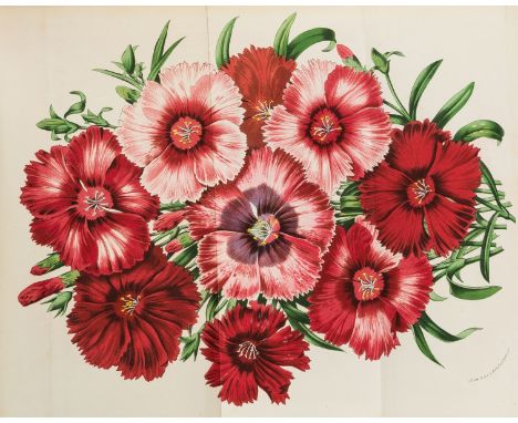 Van Houtte (Louis, editor) Flore des Serres et des Jardins de l'Europe, vol. 13 &amp; 14, 88 colour plates (of which 30 doubl