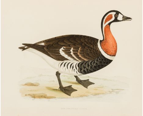 Birds.- Morris (Beverley R.) British Game Birds and Wildfowl, third edition, half-title, 60 hand-coloured plates, scattered f