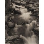 Tice, George (1938 Newark)