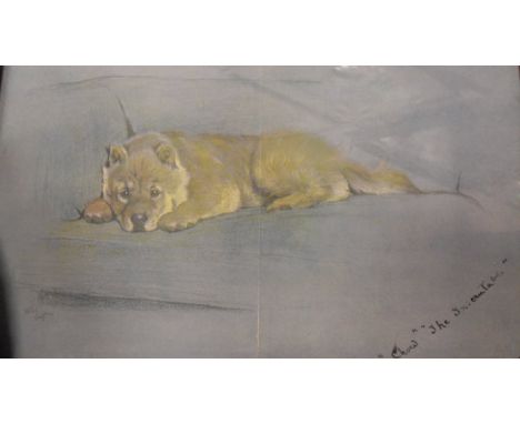 AFTER CECIL ALDIN "Chow the Inscrutable", study of Chow on a sofa, colour print, together with various others AFTER CECIL ALD