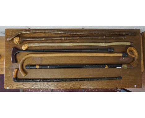 Collection of walking sticks to include horn handles stick 