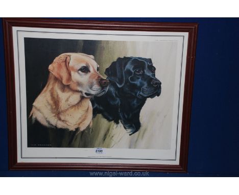 A limited edition (500) framed Print of a golden and a black Labrador by Vic Granger.