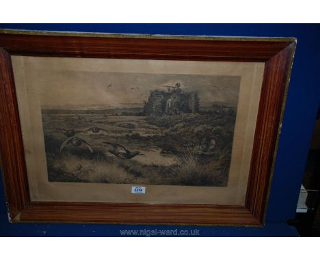 A framed Archibald Thorburn shooting print.