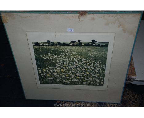 An artist's proof Print entitled 'Moonpennies' by Greenwood.