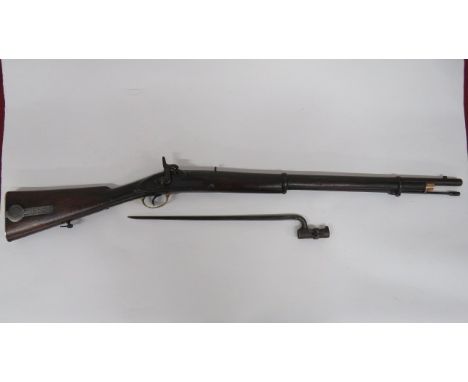 India Military 2 Band Percussion Musket 29 1/2 inch, 14 bore barrel.   Rear V sight.  Military pattern lock plate with later 