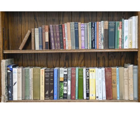 Books. Two shelves of natural history works, principally ornithology, 19th c and later, including Stanley (Edward, Bishop of 