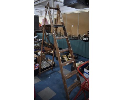 A Wooden Six Step Step Ladder 