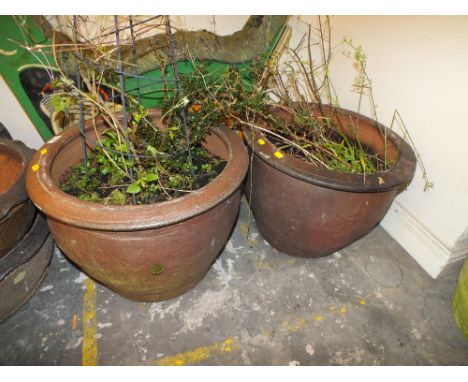 TWO LARGE CERAMIC PLANTERS PLUS CONTENTS