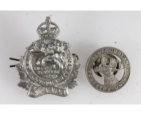 Newfoundland Forestry Unit badge by J R Gaunt of London and The Algonquin Regiment of Canada cap badge. (2)