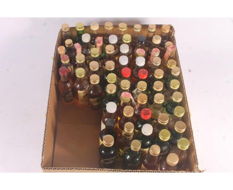 Collection of around 60 blended Scotch and other whisky miniatures to include MORTONS THREE STAR, BLACK VELVET, WILD CURLERS,