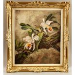 Rochel, Siegfried (1904-1985), Ölgemälde Stillleben Orchideen