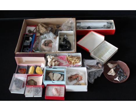 FOSSILS AND NATURE - a collection of sharks teeth, fossils, rocks, minerals, textile fibres and coral to include a miniature 