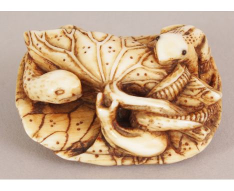 A GOOD QUALITY JAPANESE MEIJI PERIOD IVORY NETSUKE, carved in the form of a snake and a frog on a lotus plant, the underside 