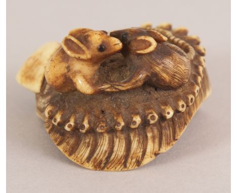 A GOOD QUALITY JAPANESE EDO/MEIJI PERIOD CARVED STAGHORN NETSUKE OF TWO RATS, grappling on top of an abalone shell, their eye