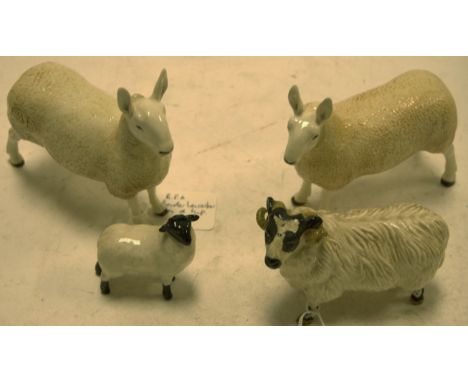 A Beswick model of a black faced ram No. 3071, together with a black faced lamb 1828, a Border Fine Arts Border Leicester ram