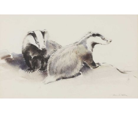 * Eileen Alice Soper (1905-1990)Two badgerssigned 'Eileen A. Soper' l.r., watercolour35 x 52cmProvenance: Gifted from the art