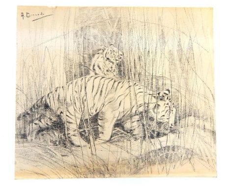 After Aleksei Stepanovich Stepanov  (Russian, 1858-1923), an unframed pencil on paper study of two tigers, 23 x 26cm, togethe