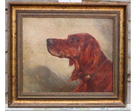 P Gravely: oil on canvas, portrait of an Irish setter, 9 1/2" x 11 1/2", in gilt frame
