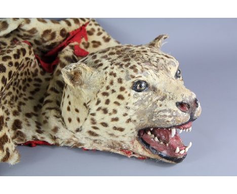 A Taxidermy Leopard Skin and Head Cloak; the cloak typically worn by a drumming band leader. (sadly the lining has disintegra