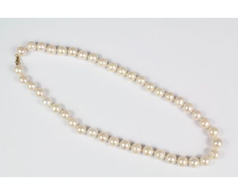 Fresh Water Pearl Necklaces: A single strand fresh water pearl necklace on 9ct gold clasp, pearls approx 10 mm, approx 45 cms