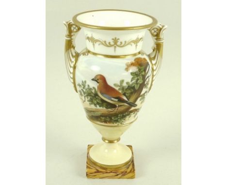 A porcelain urn, circa 1780, possibly Spode, with twin moulded handles, hand painted reserve of a jay perched on a branch, th