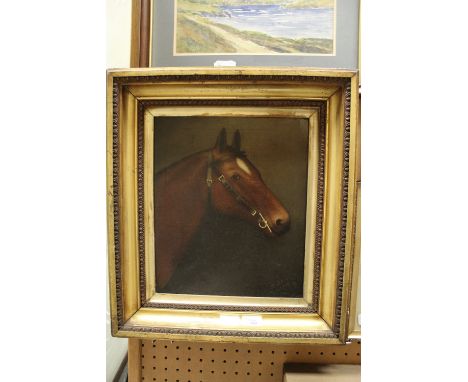 R Slack 1907 Oil Picture of Horses Head in Gilt Frame