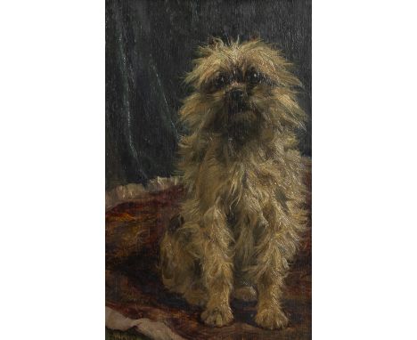 Charles BOLAND (c.1850-?), portrait of a Brussels Griffon on a cushion, signedCharles BOLAND (ca.1850-?), portret van een Bru