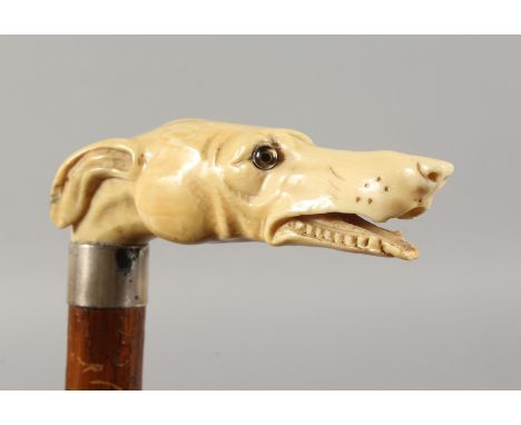  A GOOD VICTORIAN CARVED IVORY GREYHOUND HANDLE WALKING STICK of bamboo design