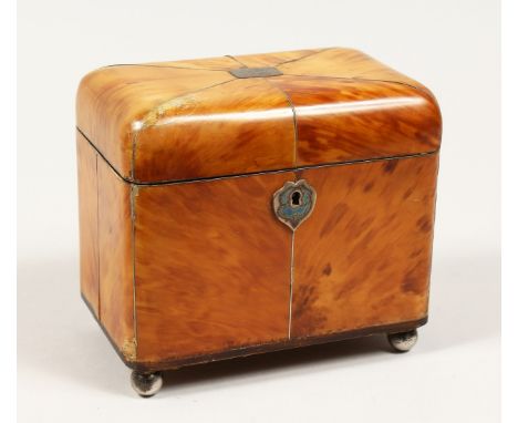 A GOOD REGENCY TORTOISESHELL TWO DIVISION TEA CADDY with segmented top on silver ball feet. 6ins long.