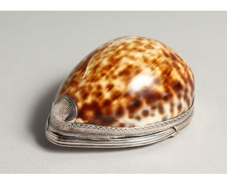 A GEORGIAN SILVER NOVELTY SHELL SNUFF BOX, the lid with repousse decoration 3.5ins long.