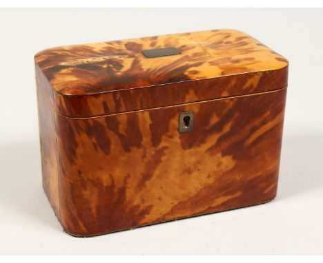 A GOOD REGENCY TORTOISESHELL TWO DIVISION TEA CADDY of rectangular form. 6.75ins high.