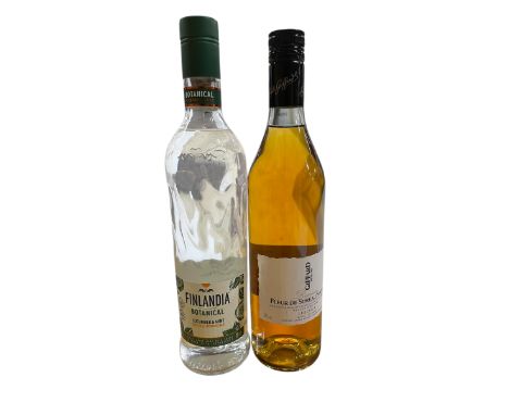 Two bottles to include Finlandia Botanical Cucumber &amp; Mint Vodka, Finland 30% and Giffard Fleur de Sureau (elderflower) L