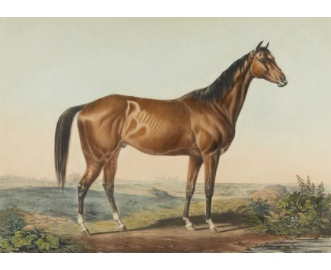 Louis Maurer (German/American, 1832-1932) for Nathaniel Currier, United States. Lithograph titled "Celebrated Horse Lexington