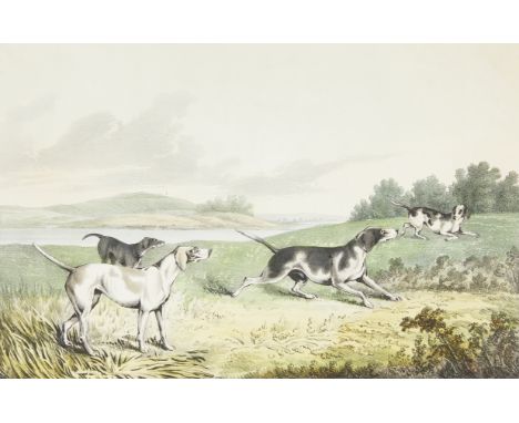 Nathaniel Currier, United States. Hand-colored lithograph titled "Pointers," depicting four pointers running through a field,