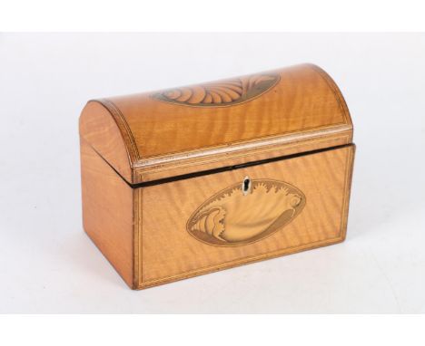 Antique satinwood and marquetry inlaid dome topped tea caddy with vignettes of shells, 18cm wide 