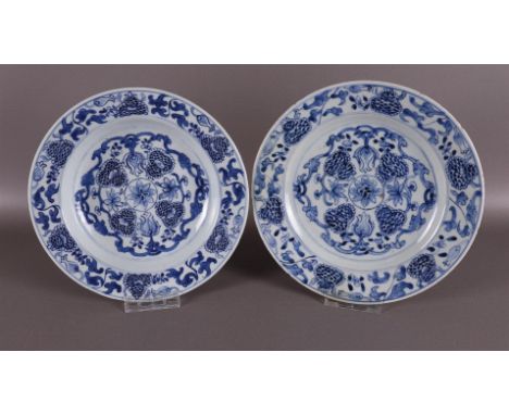 Two various blue/white porcelain plates, China, 18th century. Blue underglaze floral decoration on the shelf and lip, Ø 23.5 