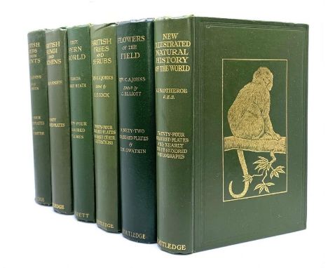Johns (Rev C.A.). British Birds In their Haunts, revised by J.A.Owen, colour plates, octavo 1909; &amp; Massee (George): Brit