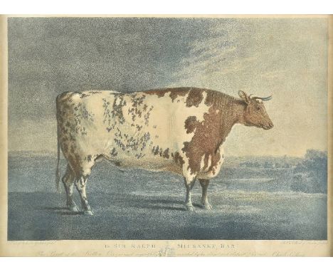 *Pollard (Robert). To Sir Ralph Milbanke Bart. This print of the Ketton Ox is most respectfully inscribed by his obliged and 