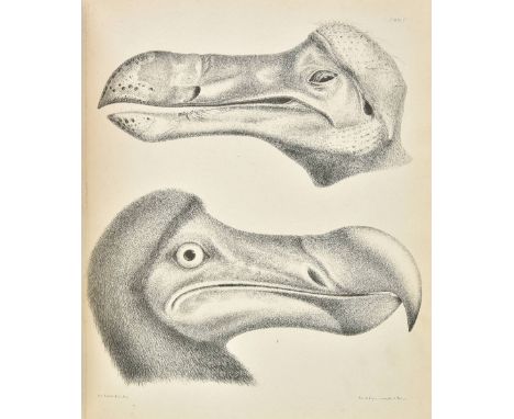 Strickland (Hugh Edwin, &amp; Alexander Gordon Melville). The Dodo and its Kindred; or the History, Affinities, and Osteology