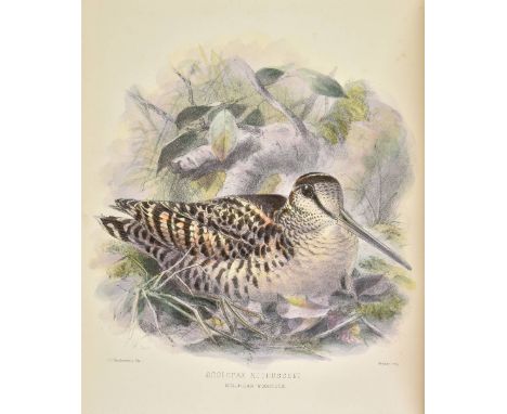 Seebohm (Henry). The Geographical Distribution of the Family Charadriidae, or the Plovers, Sandpipers, Snipes, and their Alli